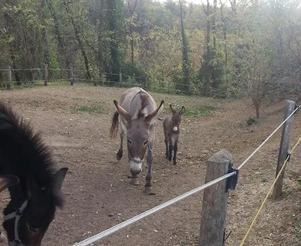 Il Conte Di Montechiaro Rural Sasso Marconi