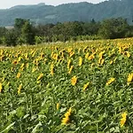 Il Conte Di Montechiaro Rural Vendégház 4*