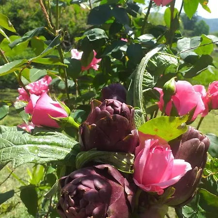Il Conte Di Montechiaro Rural Gæstehus