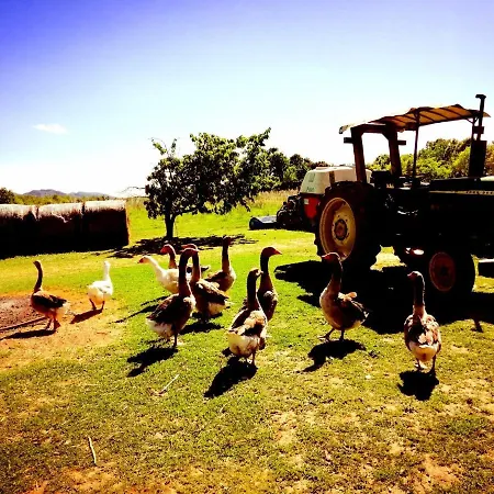 Il Conte Di Montechiaro Rural بيت ضيافة 4*