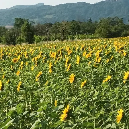 Il Conte Di Montechiaro Rural Guest house *