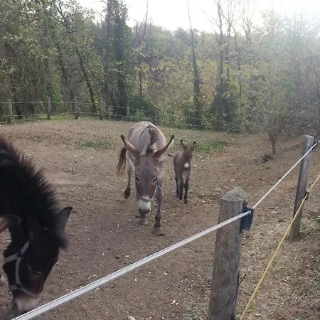 Il Conte Di Montechiaro Rural Sasso Marconi