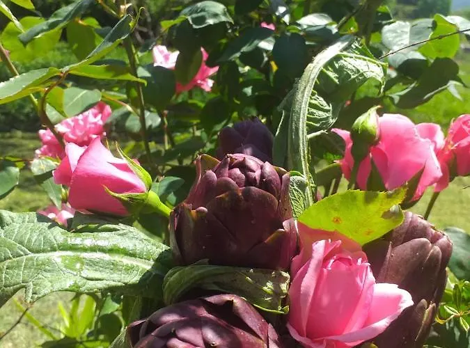 Il Conte Di Montechiaro Rural 招待所