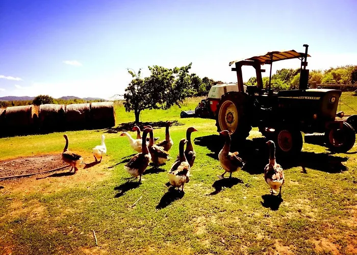 Il Conte Di Montechiaro Rural بيت ضيافة 4*