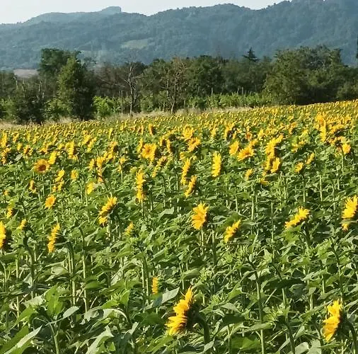 Il Conte Di Montechiaro Rural بيت ضيافة 4*