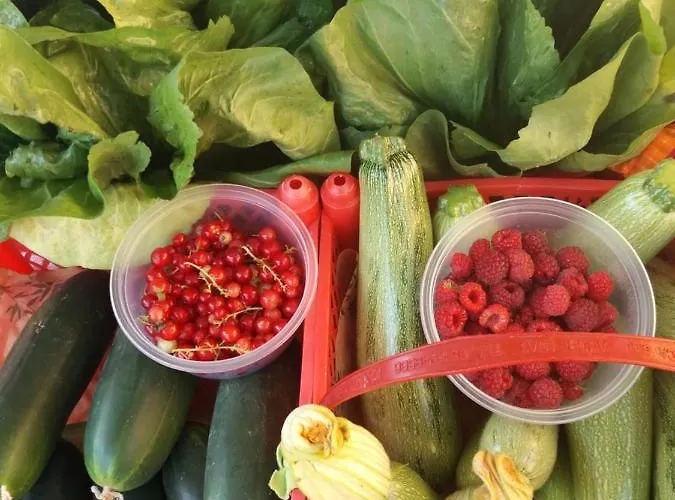 بيت ضيافة Il Conte Di Montechiaro Rural ساسو ماركوني