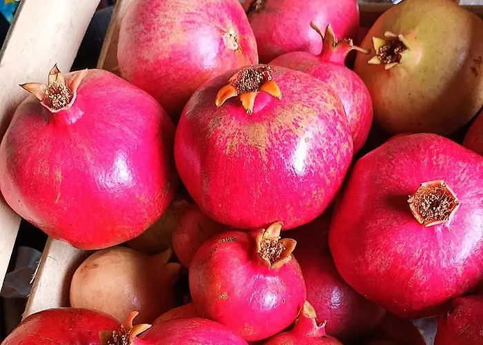 Il Conte Di Montechiaro Rural بيت ضيافة ساسو ماركوني